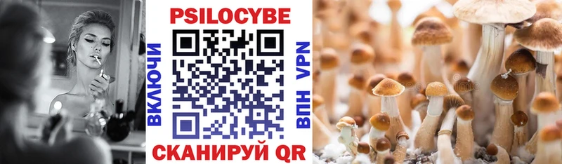 Псилоцибиновые грибы Psilocybine cubensis  Волчанск 